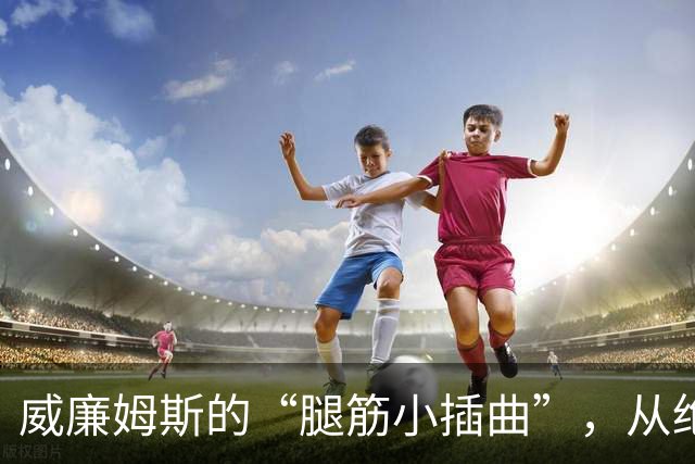 威廉姆斯的“腿筋小插曲”，从绝境到重回赛场的奇迹
