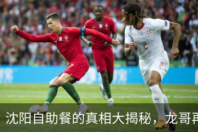 沈阳自助餐的真相大揭秘，龙哥再次出手！